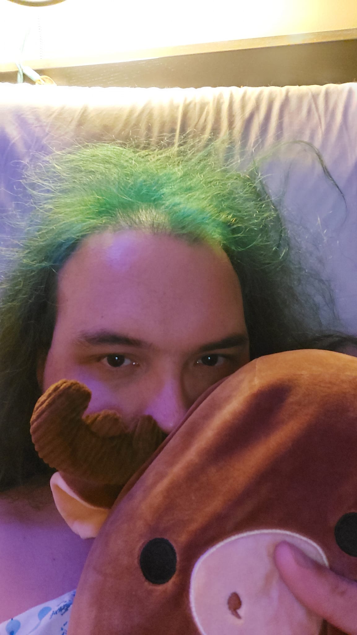 A man with green hair is lying with a moose Squishmallow